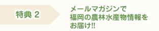 特典2 メールマガジンで福岡の農林水産物情報をお届け!!